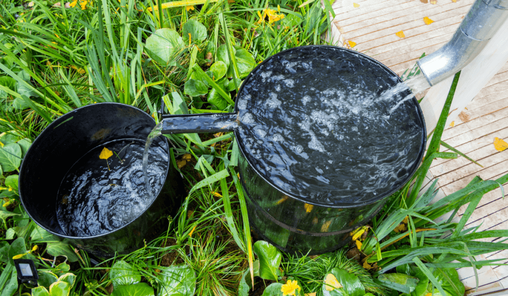 deszczówka - sposoby magazynowania. na zdjęciu widoczne 2 wiadra podstawione pod rynnę