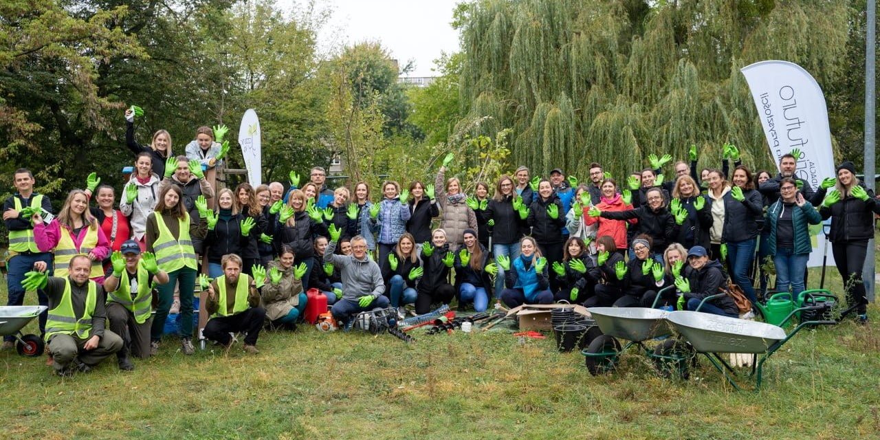 sadzenie drzew w Warszawie