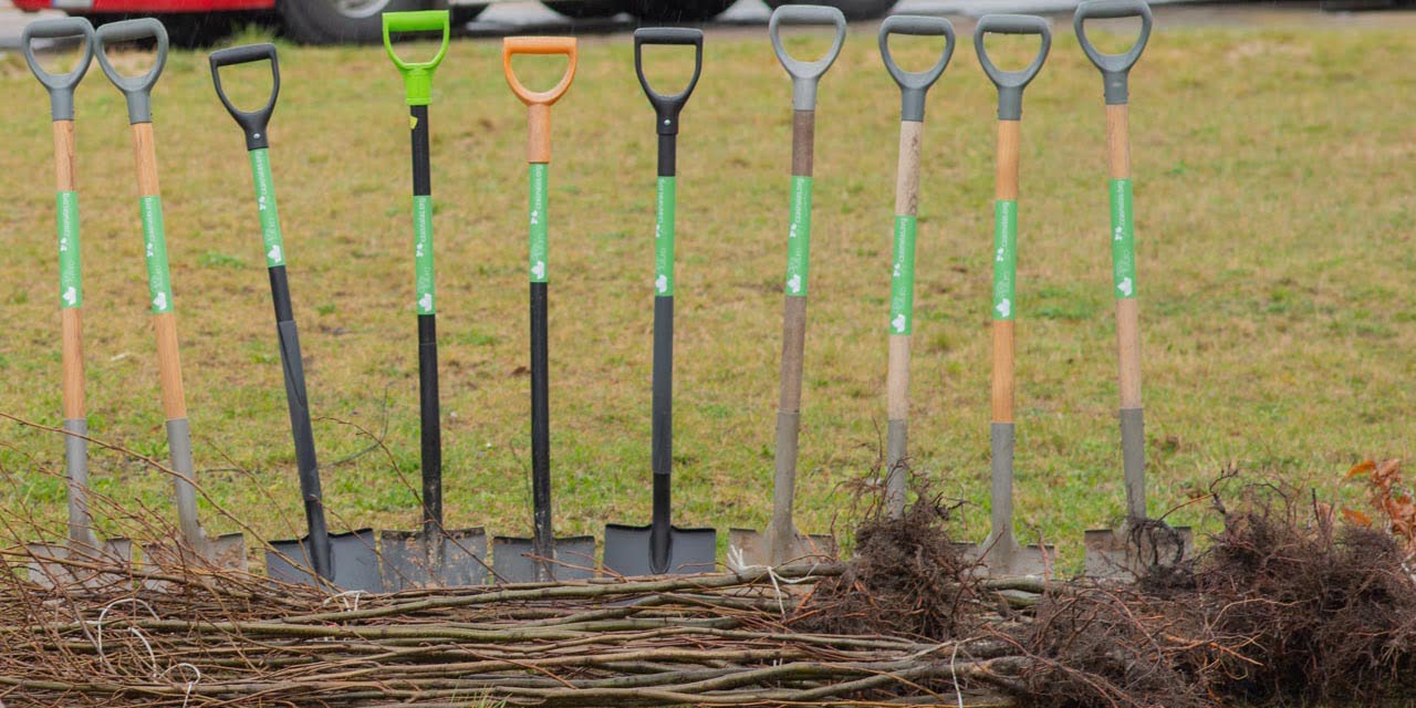 Akcja sadzenia drzew