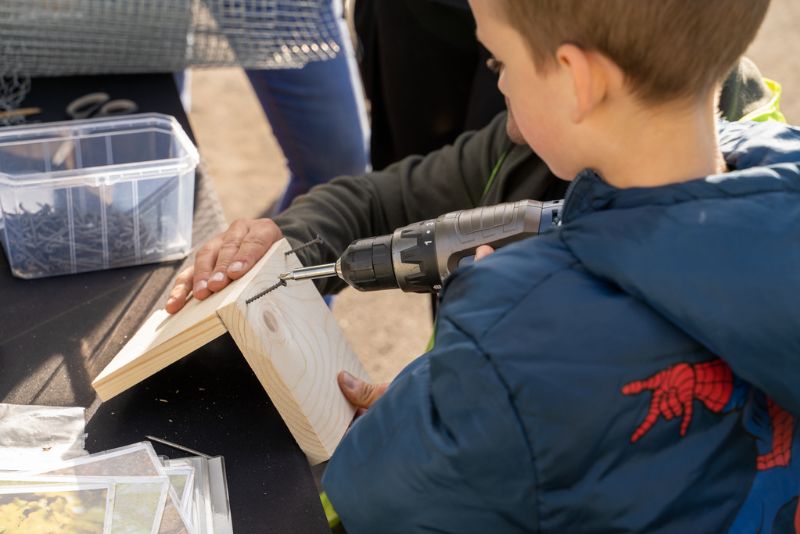 sadzenie drzew w Warszawie