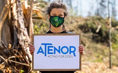 Sadzimy 2021 drzew z&nbsp;Atenor