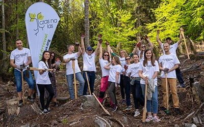 Sadzimy w&nbsp;parku narodowym z&nbsp;SoftServe