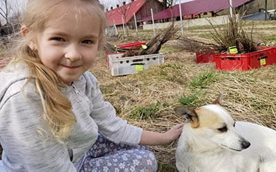 W&nbsp;Beskidzie Niskim tworzymy zadrzewienia śródpolne – 12 500 drzew