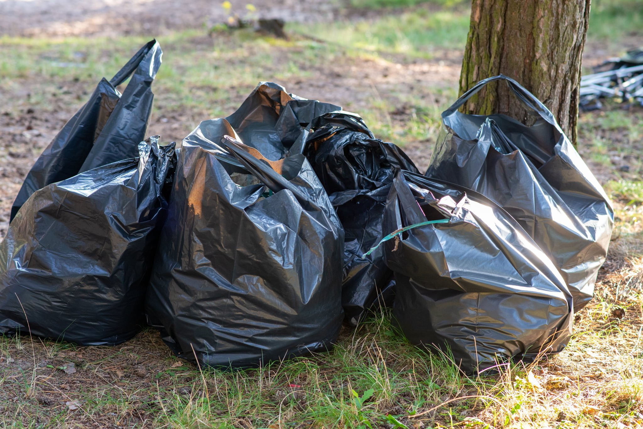 Czysta_Akcja-sprzatanie