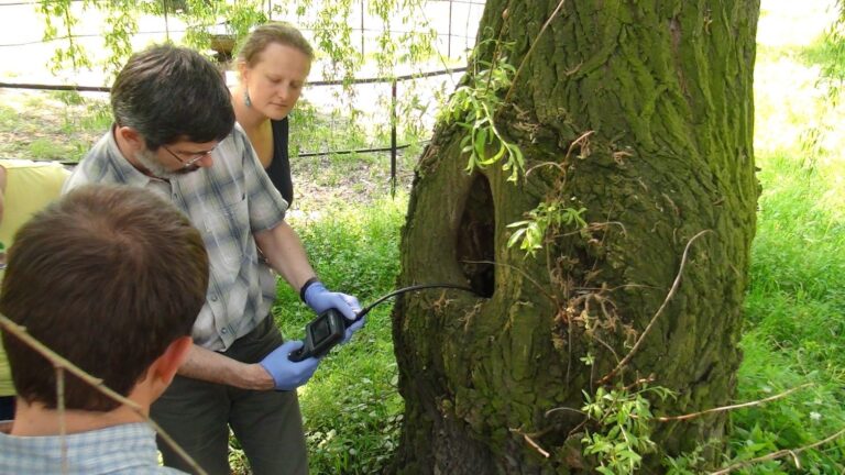 „Drzewa w&nbsp;otwartym krajobrazie – instrukcja obsługi” – szkolenie w&nbsp;Zabierzowie