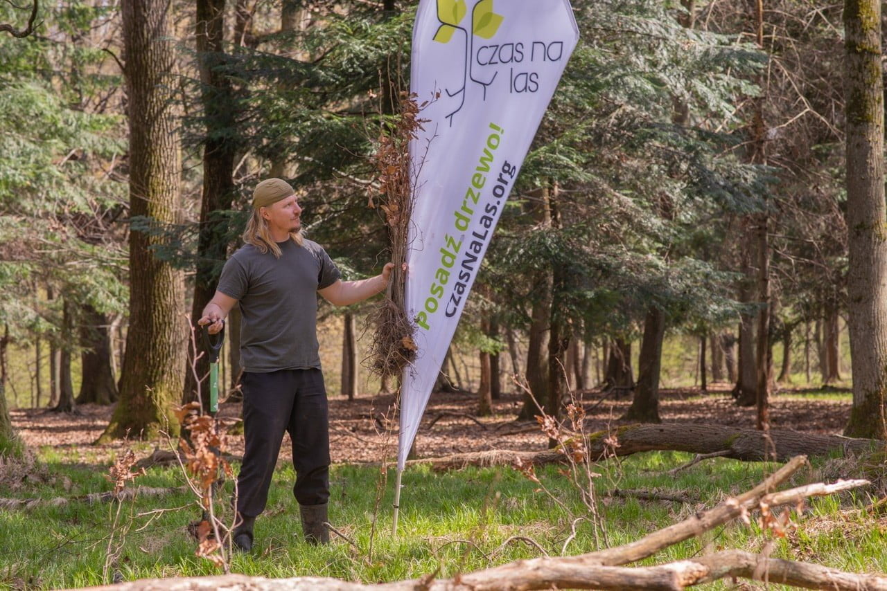 nowe-sadzonki-dla-uniwersytetu-jagiellońskiego