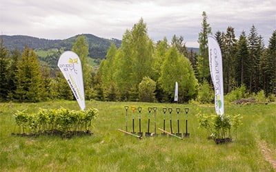 Zasadzimy drzewa z&nbsp;firmą HAGS Polska