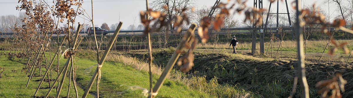 Decathlon-Czas-na-las