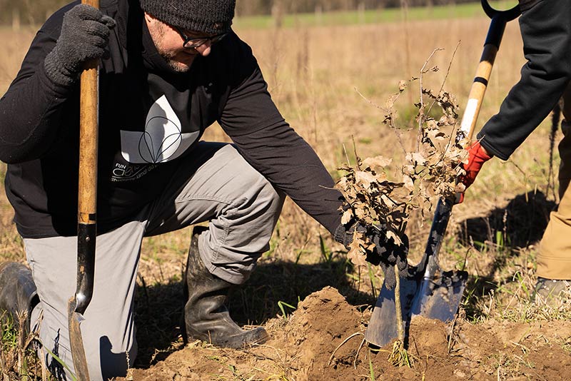 Sadzimy-drzewa-z-firma-Lina-Medical