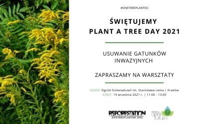 Świętuj z&nbsp;nami Plant A&nbsp;Tree Day 2021