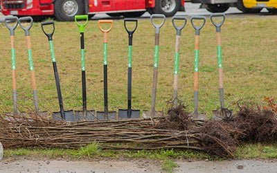 Posadziliśmy kolejne drzewa! Prośrodowiskowa akcja w&nbsp;Wieliczce za&nbsp;nami!