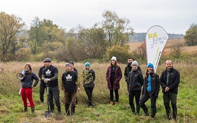 Sadzimy drzewa z&nbsp;wolontariuszami UBS