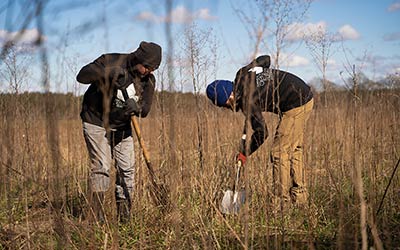 Sadzenie 1500 drzew dla LiNa-Medical