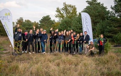 Sadzimy w&nbsp;ramach projektu Salesforce