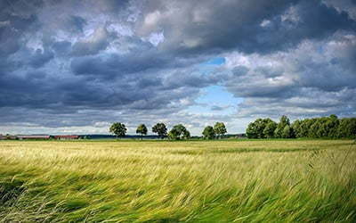 Światowy Dzień Wiatru