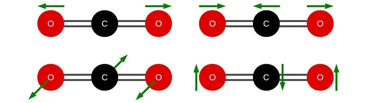 zapis procesu chemicznego powstawania co2