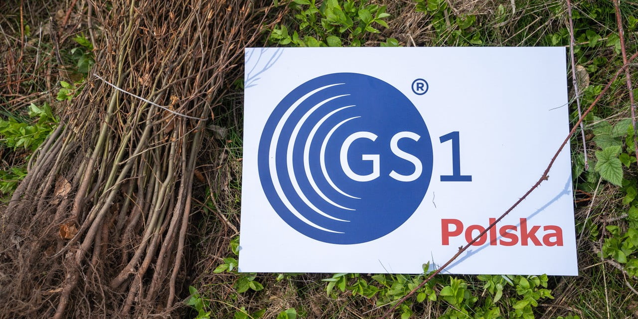 skompensowalismy-slad-weglowy-konferencji