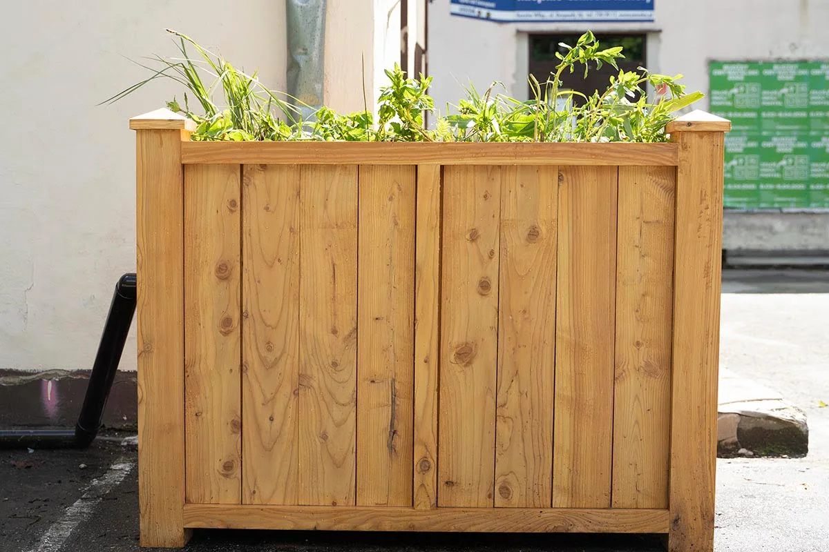 ogród deszczowy w donicy sposobem na zatrzymanie wody 