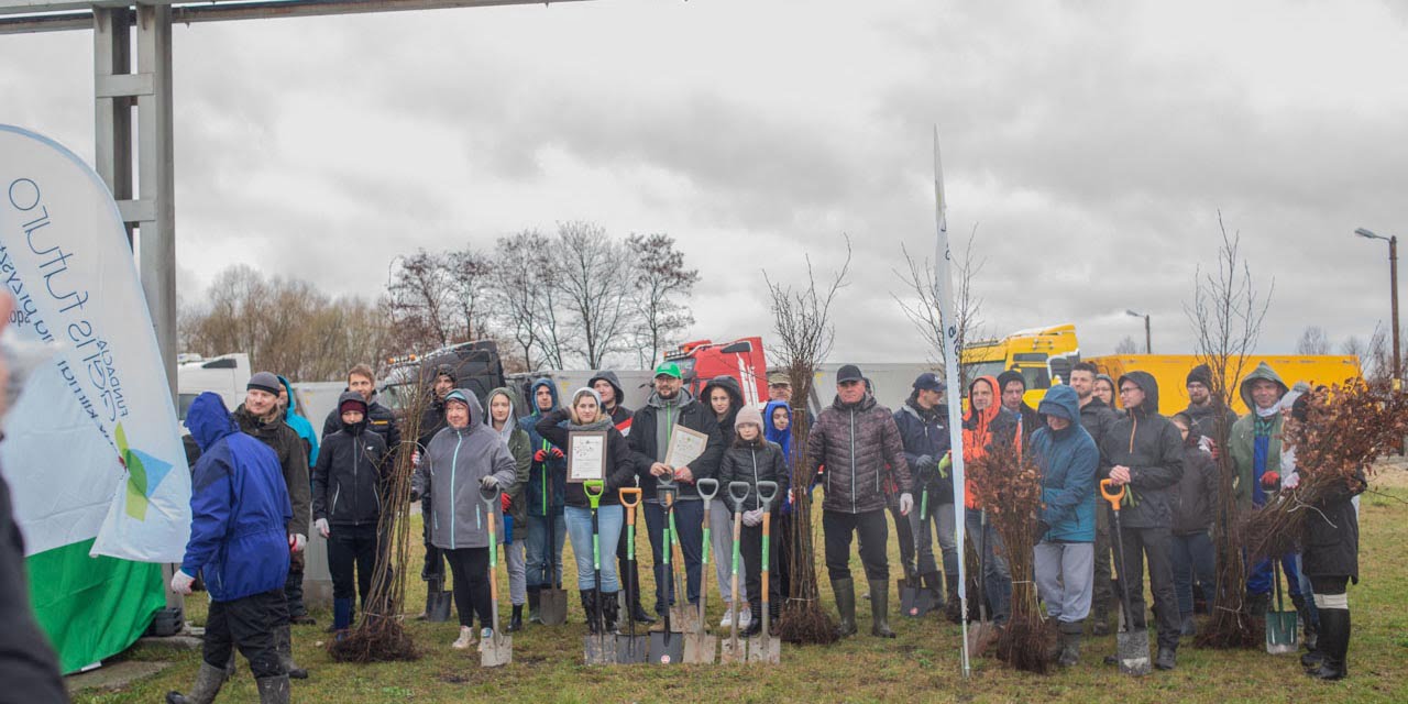 pracownicy kopalni Wieliczka sadzą drzewa