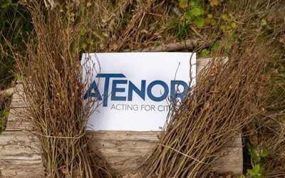 Sadzimy buki w&nbsp;Lewinie Kłodzkim!