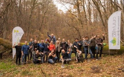 Sadzenie na&nbsp;terenie lasu ochronnego z&nbsp;Air Liquide