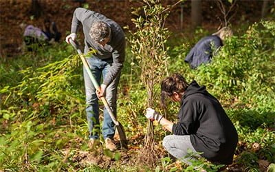 Sadzimy na&nbsp;terenie Uniwersytetu Jagiellońskiego z&nbsp;Igepa