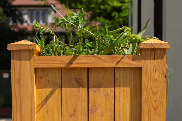 Budujemy_Ogrody_deszczowe-Aeris_Futuro