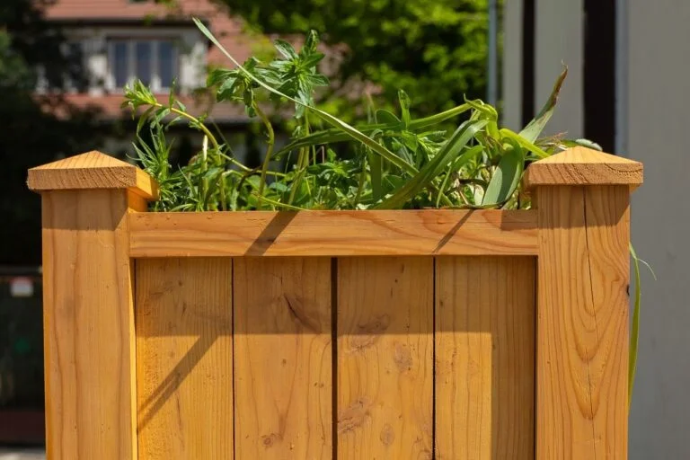 Budujemy ogrody deszczowe