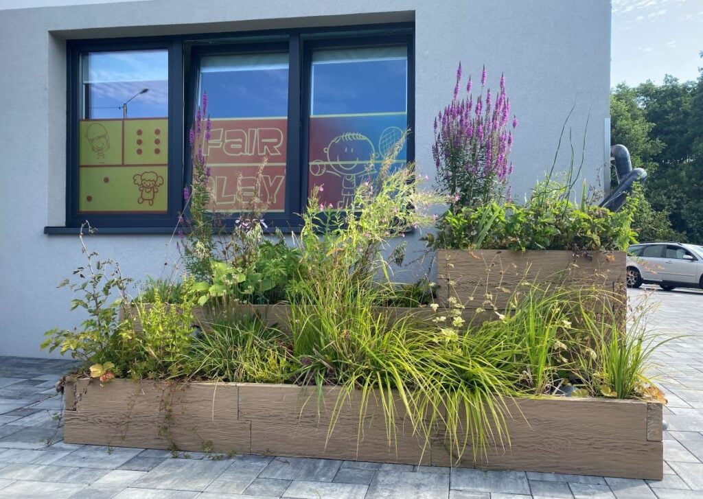 Budujemy_Ogrody_deszczowe-Aeris_Futuro