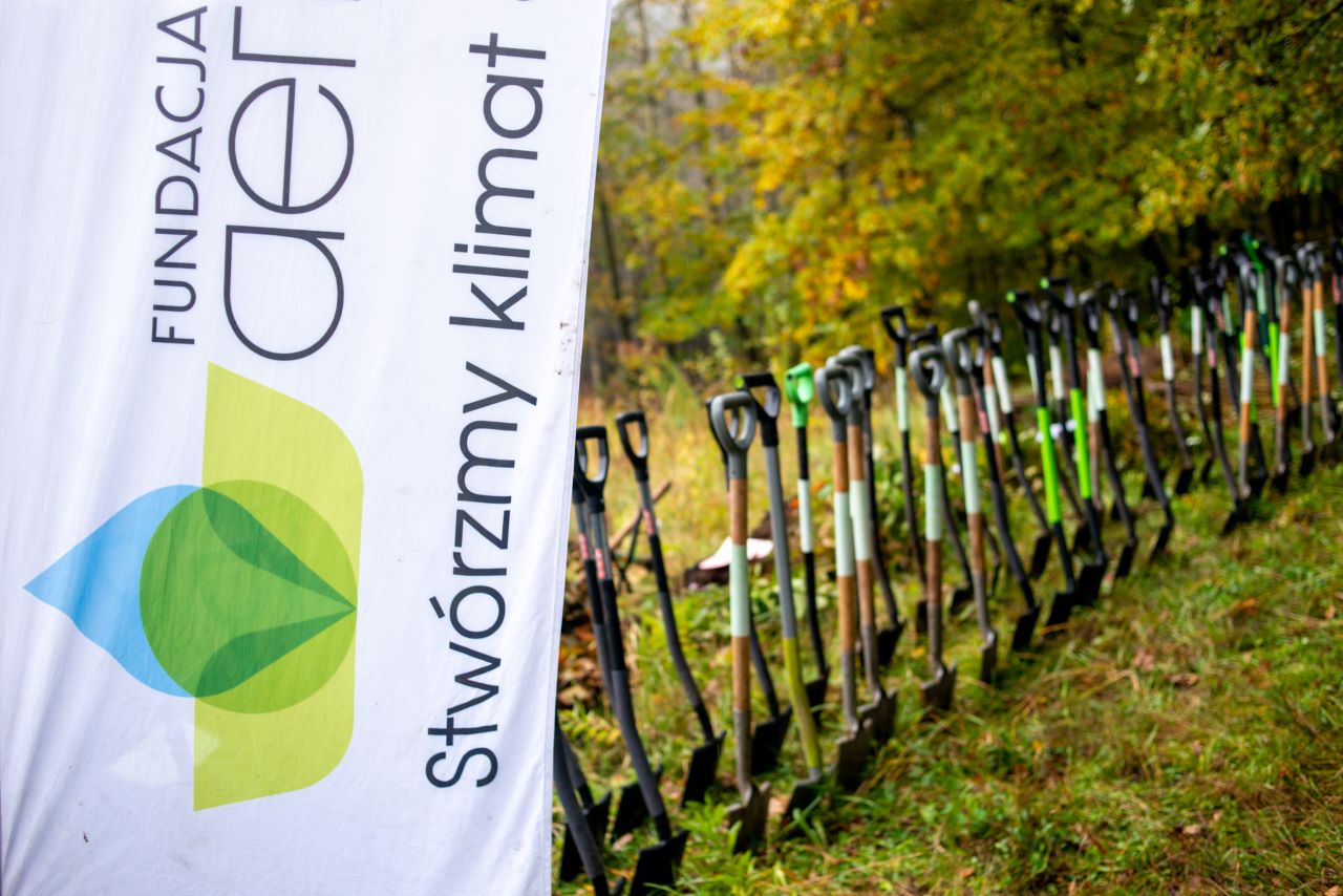 Czas na Las-sadzimy drzewa-Aeris Futuro