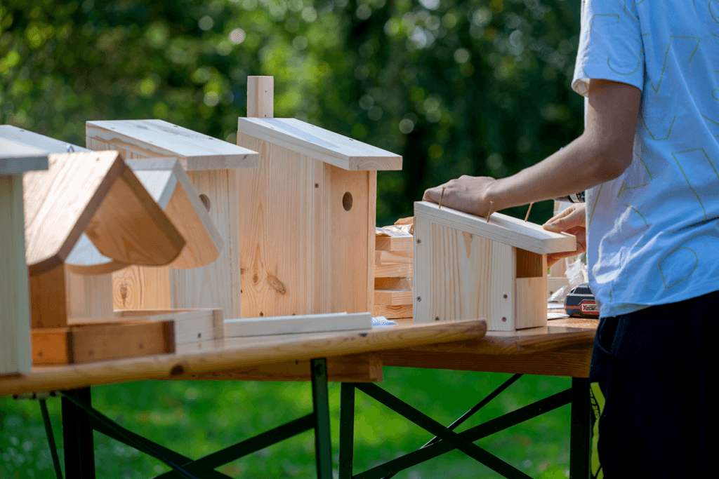 Na zdjęciu widoczne budki lęgowe dla ptaków, wykonane przez uczestników naszych warsztatów.
