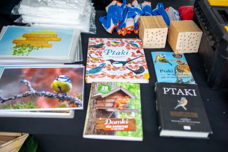 Warsztaty - domki dla ptaków