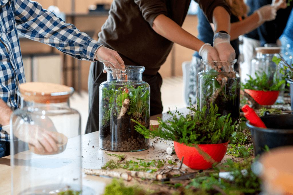 Na zdjęciu widoczne są słoje wypełniane przez uczestników naszych warsztatów roślinami. W ten sposób powstaje mini las w słoiku.