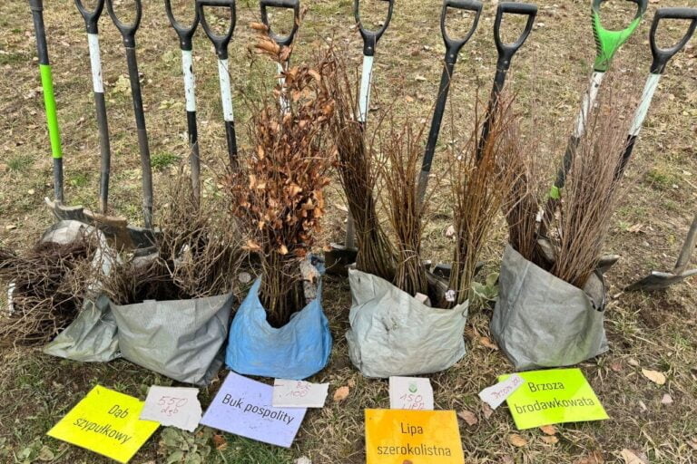 Czas-na-las_Auchan_Chojnice