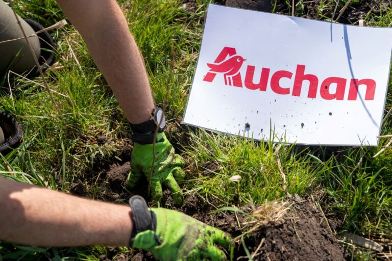 Czas_na_las- Auchan-8400 drzew