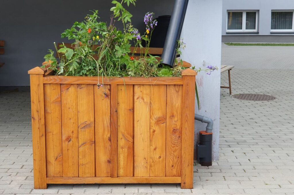 Ogród deszczowy w Gorzkowie