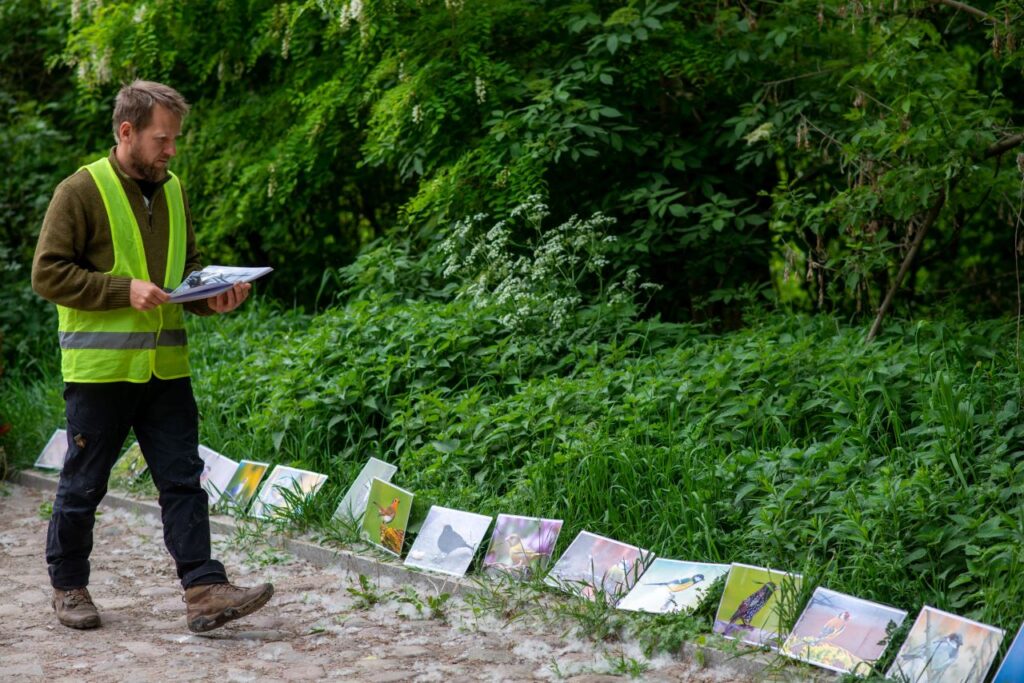 Arval - sprzątanie brzegów Wisły