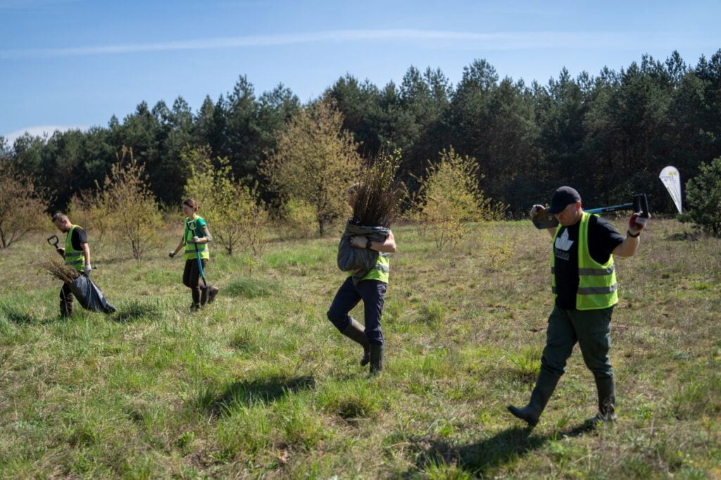 Czas_na_las-Auchan-Radomyśl