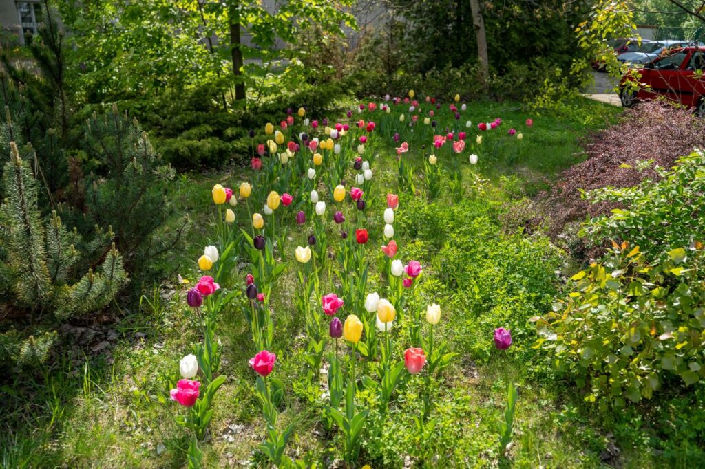 Czas_na_las - Procter&Gamble Dom Dziecka