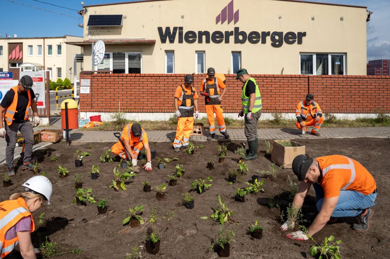 Sadzenie drzew dla wsparcia bioróżnorodności