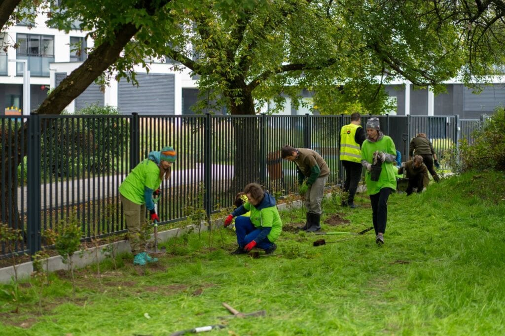 Czas_na_las-Cemex-DPS-Warszawa