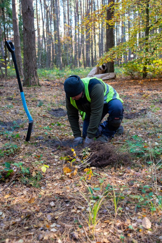 Sadzenie drzew w Łebie dzięki środkom pozyskanym z m.in. recyklingu ubrań. 