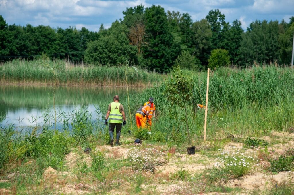 Audyt bioróżnorodności na terenie zakładu Wienerberger.