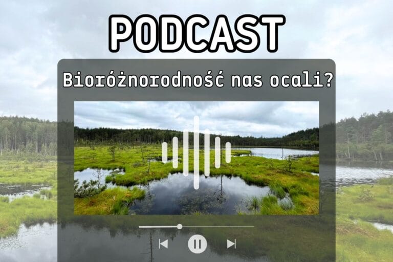 Nowy podcast o&nbsp;bioróżnorodności już dostępny!