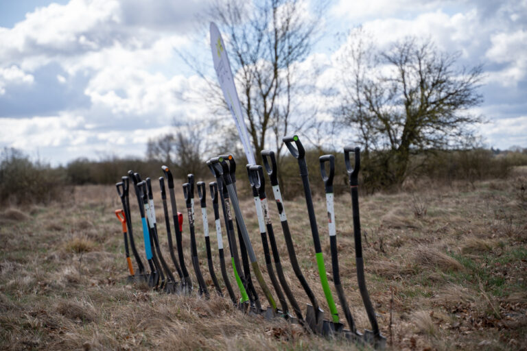 Wiosenne sadzenie drzew - Wieliszew