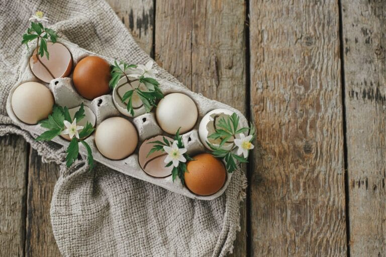 Warsztaty świąteczne fundacji Aeris Futuro - grafika ogólna