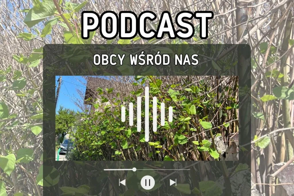Podcast o gatunkach inwazyjnych - baner