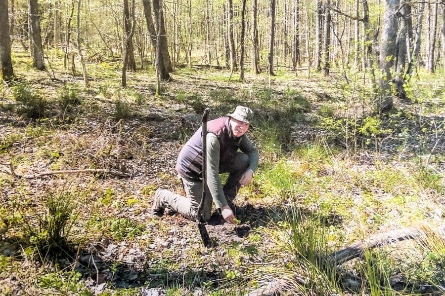 Sadzenie drzew w parku narodowym